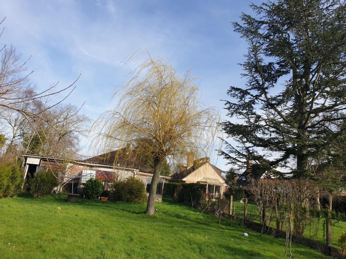 Bienvenue Chez Vous Villa Socx Exteriör bild